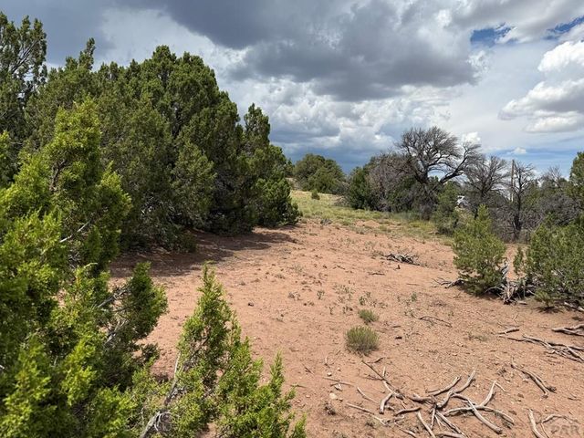 Lot 116 Comanche Dr, Walsenburg, CO 81089