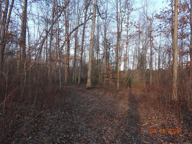 640 Oak Avenue, White Cloud, MI 49349