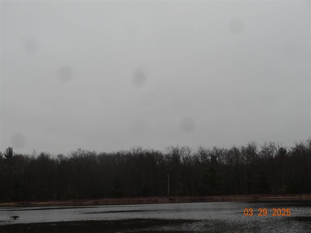 640 Oak Avenue, White Cloud, MI 49349