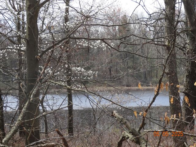 640 Oak Avenue, White Cloud, MI 49349