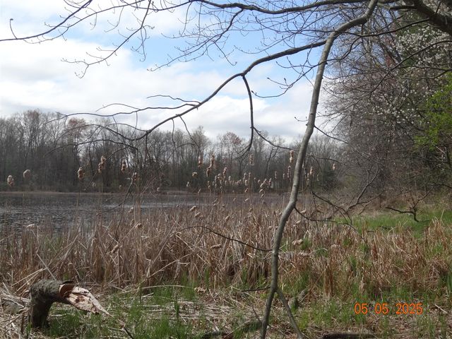 640 Oak Avenue, White Cloud, MI 49349