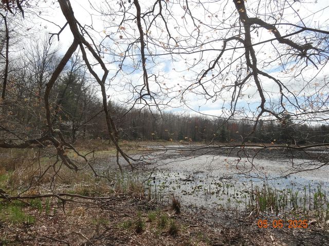 640 Oak Avenue, White Cloud, MI 49349