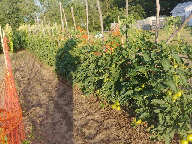 640 Oak Avenue, White Cloud, MI 49349