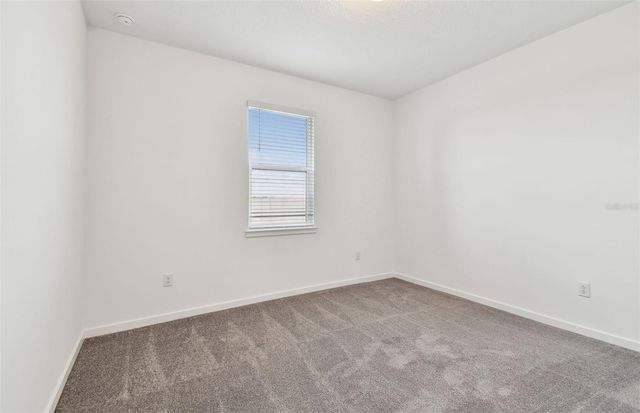 9827 AUTUMN RIDGE AVENUE, Riverview, FL 33578