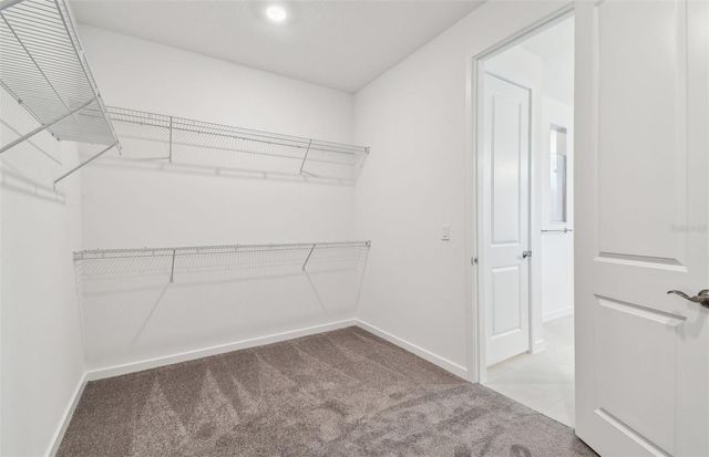 9827 AUTUMN RIDGE AVENUE, Riverview, FL 33578