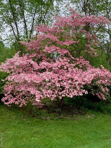 6 Jill Marie Circle, Wallkill, NY 12589