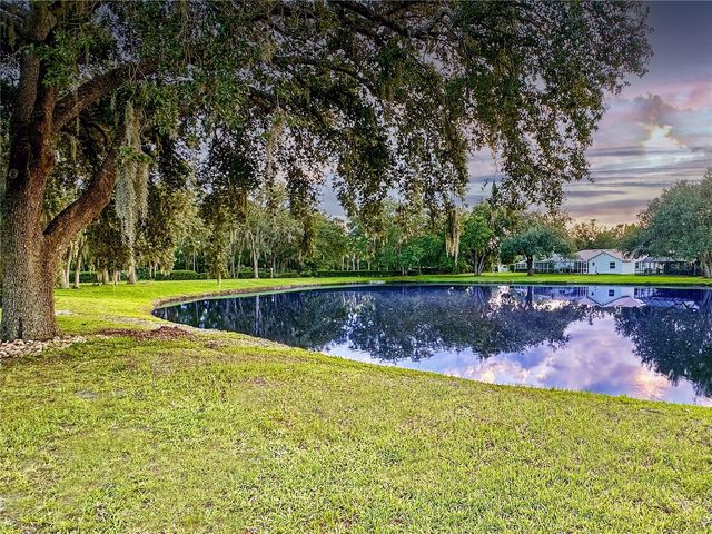 4617 BASSWOOD STREET, Land O Lakes, FL 34639
