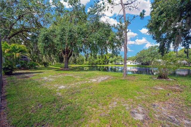 4617 BASSWOOD STREET, Land O Lakes, FL 34639