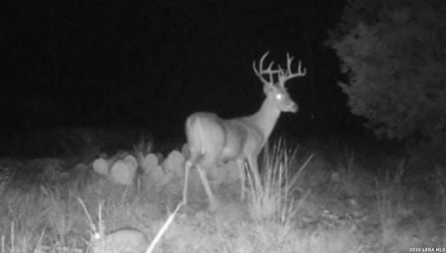 2197 Sd 45340, Rocksprings, TX 78880