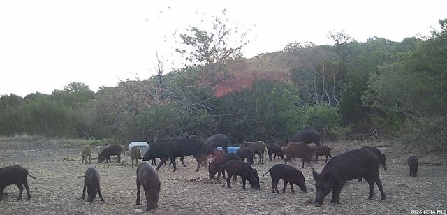 2197 Sd 45340, Rocksprings, TX 78880