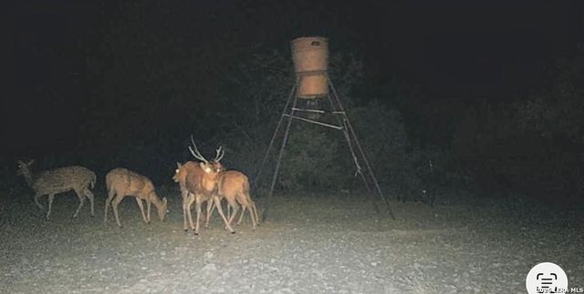 2197 Sd 45340, Rocksprings, TX 78880