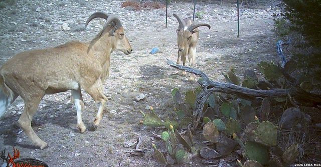 2197 Sd 45340, Rocksprings, TX 78880