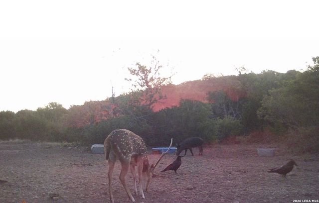 2197 Sd 45340, Rocksprings, TX 78880