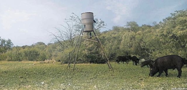 2197 Sd 45340, Rocksprings, TX 78880