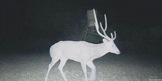 2197 Sd 45340, Rocksprings, TX 78880