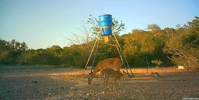 2197 Sd 45340, Rocksprings, TX 78880