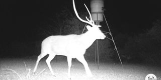 2197 Sd 45340, Rocksprings, TX 78880