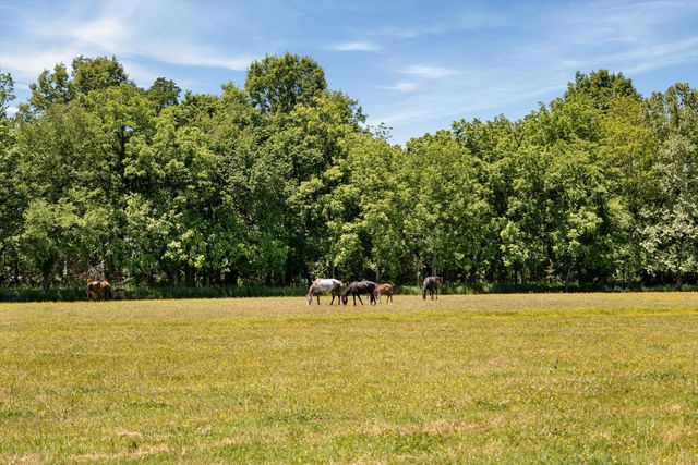 332 John Shaw Rd, Lewisburg, TN 37091