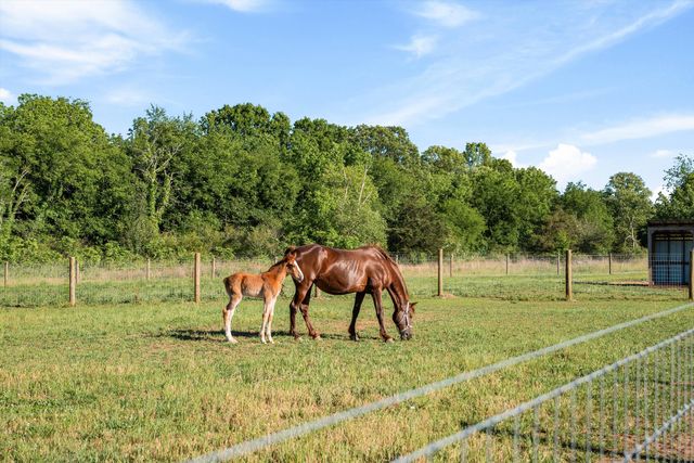 332 John Shaw Rd, Lewisburg, TN 37091