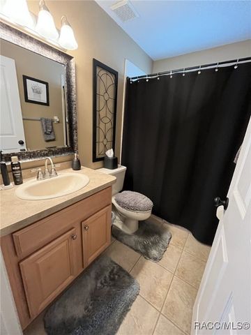 28702 Crooked Stick Court, Wesley Chapel, FL 33543