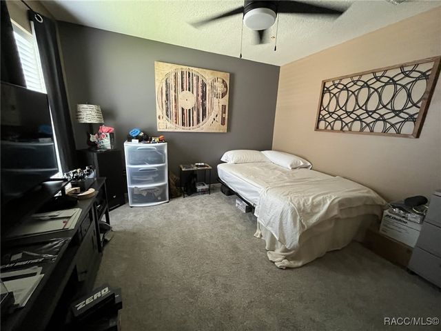 28702 Crooked Stick Court, Wesley Chapel, FL 33543