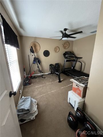 28702 Crooked Stick Court, Wesley Chapel, FL 33543