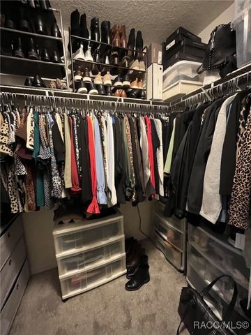 28702 Crooked Stick Court, Wesley Chapel, FL 33543