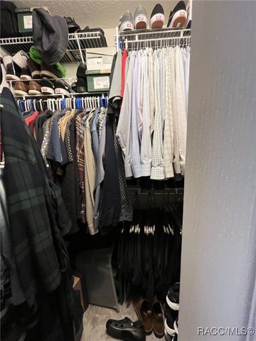 28702 Crooked Stick Court, Wesley Chapel, FL 33543