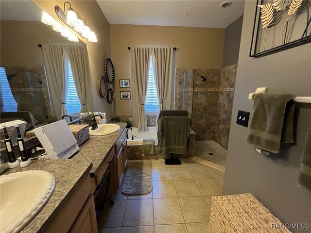 28702 Crooked Stick Court, Wesley Chapel, FL 33543