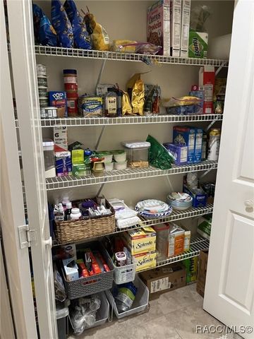 28702 Crooked Stick Court, Wesley Chapel, FL 33543