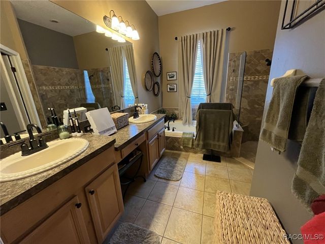 28702 Crooked Stick Court, Wesley Chapel, FL 33543