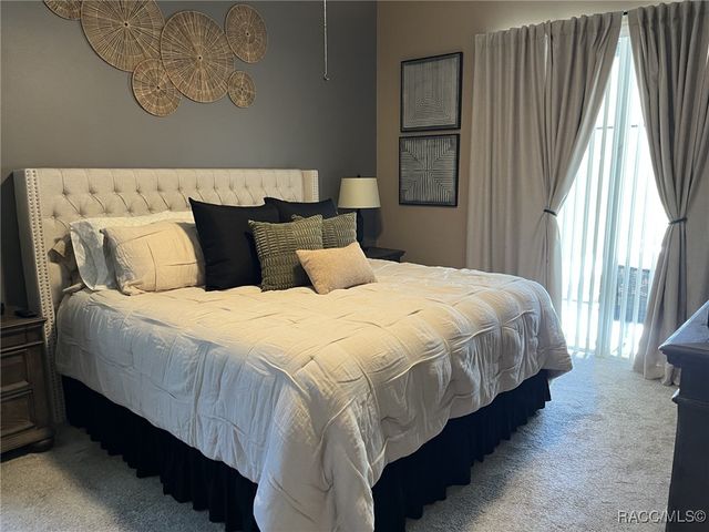 28702 Crooked Stick Court, Wesley Chapel, FL 33543