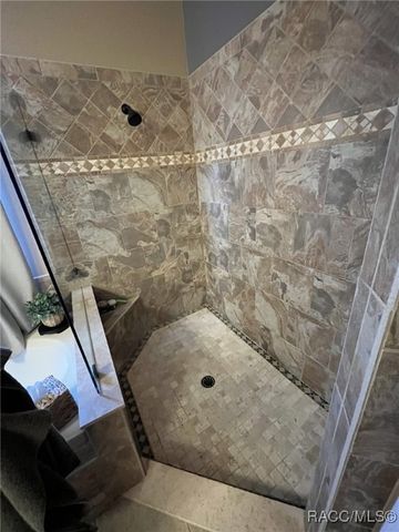 28702 Crooked Stick Court, Wesley Chapel, FL 33543