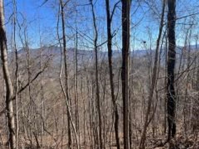 Lot 29 Hidden Summit Road, Hiawassee, GA 30546