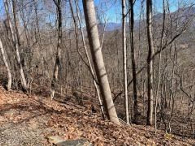 Lot 29 Hidden Summit Road, Hiawassee, GA 30546
