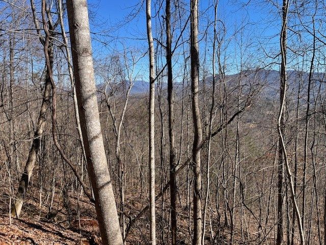 Lot 29 Hidden Summit Road, Hiawassee, GA 30546