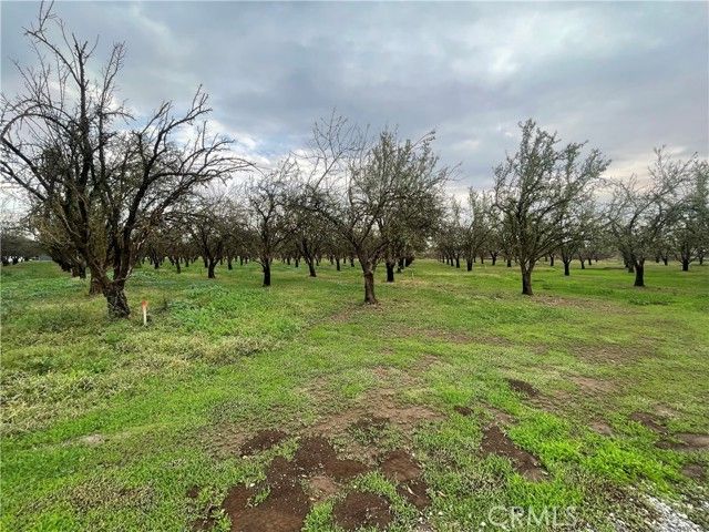 3095 Chico River Road, Chico, CA 95928