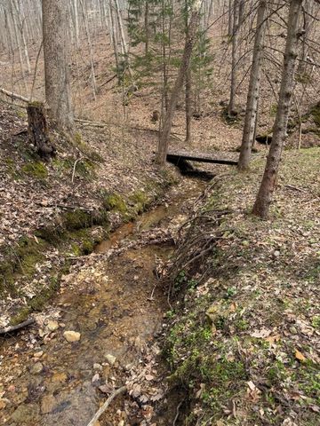 0 Bellia Rd Road, Laurelville, OH 43135