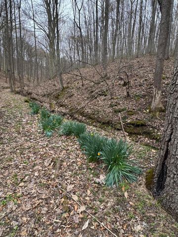 0 Bellia Rd Road, Laurelville, OH 43135