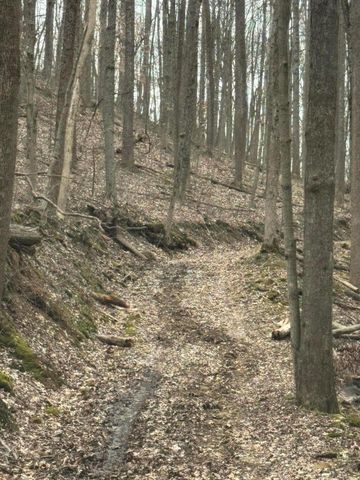 0 Bellia Rd Road, Laurelville, OH 43135