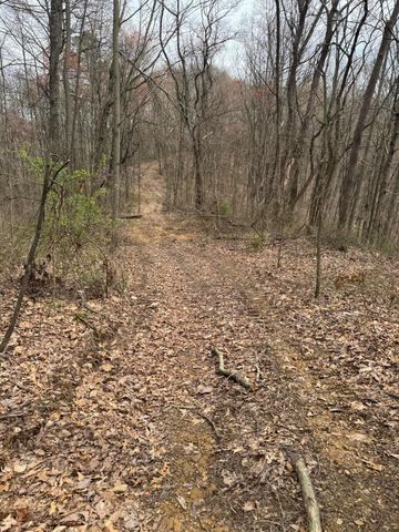 0 Bellia Rd Road, Laurelville, OH 43135