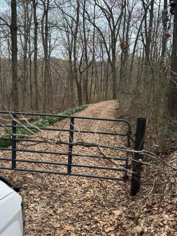 0 Bellia Rd Road, Laurelville, OH 43135