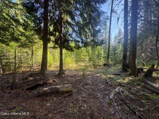 NNA Backroads Way Lot 3, Priest River, ID 83856