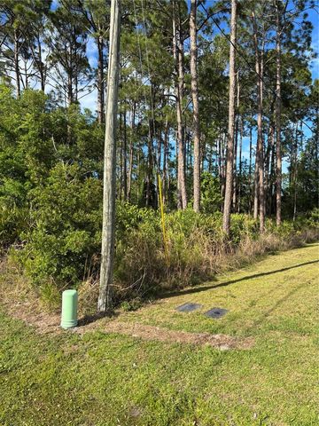 153 ULLIAN TRAIL, Palm Coast, FL 32164
