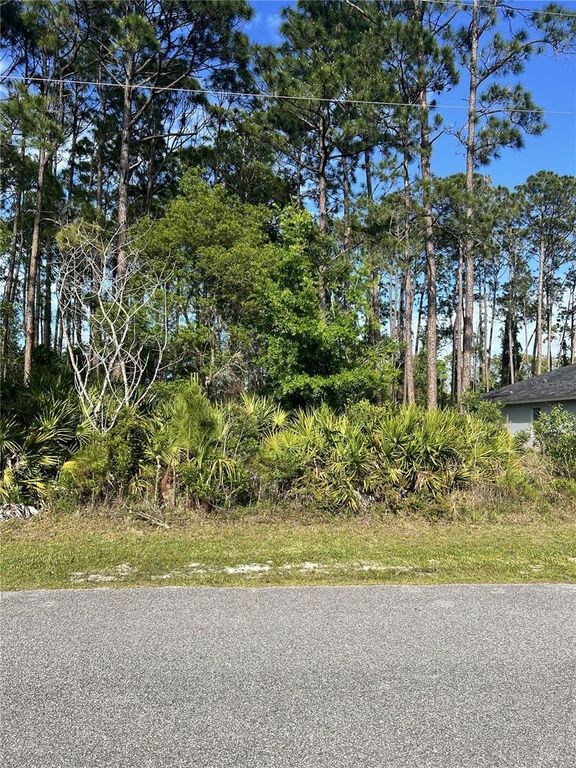 153 ULLIAN TRAIL, Palm Coast, FL 32164