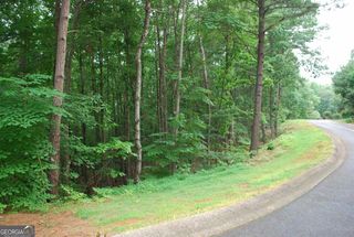742 Plum Lane, Clarkesville, GA 30523