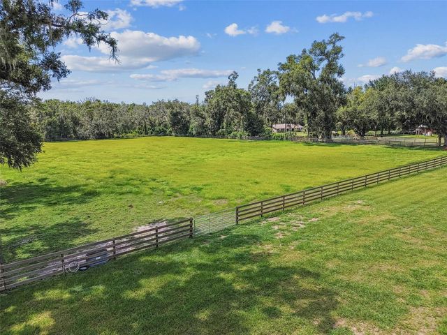 1517 UNCLE BUDS LANE, Lithia, FL 33547