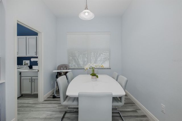 20301 FALLING ROCK DRIVE, Land O Lakes, FL 34638