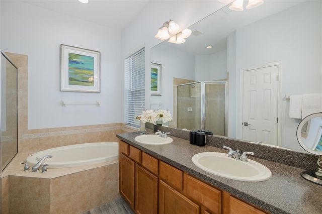 20301 FALLING ROCK DRIVE, Land O Lakes, FL 34638