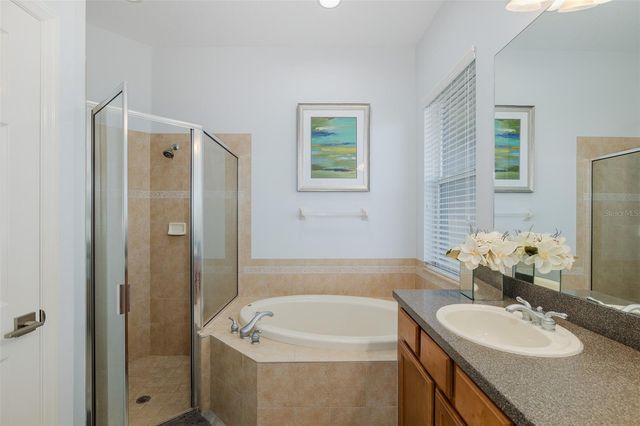 20301 FALLING ROCK DRIVE, Land O Lakes, FL 34638